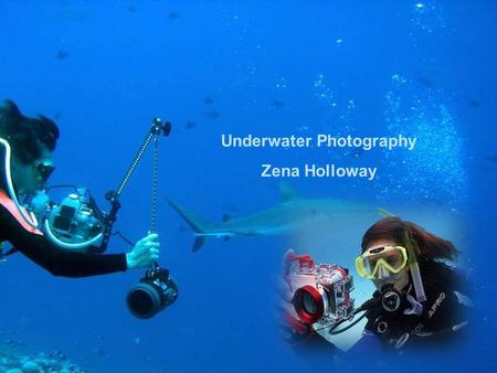 Underwater Photography Zena Holloway Zena was born in 1973 as a daughter of an airline pilot. After an Egyptian diving holiday at the age of 18, she.