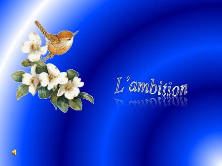 L’ambition.