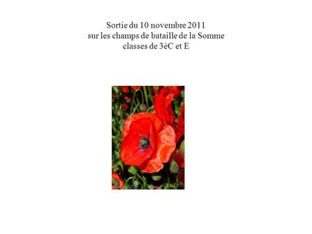 Sortie du 10 novembre 2011 sur les champs de bataille de la Somme classes de 3èC et E.