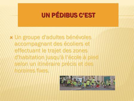 UN PÉDIBUS C'EST  Un groupe d'adultes bénévoles accompagnant des écoliers et effectuant le trajet des zones d'habitation jusqu'à l‘école à pied selon.