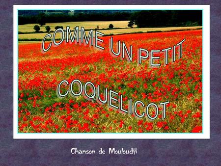 COMME UN PETIT COQUELICOT Chanson de Mouloudji.