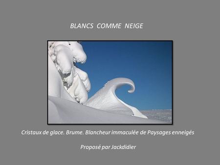 BLANCS COMME NEIGE Cristaux de glace. Brume. Blancheur immaculée de Paysages enneigés Proposé par Jackdidier.