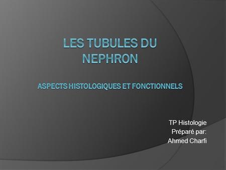 Les Tubules du nephron aspects histologiques et fonctionnels