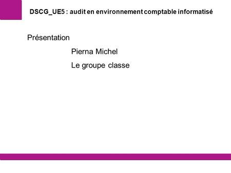 DSCG_UE5 : audit en environnement comptable informatisé