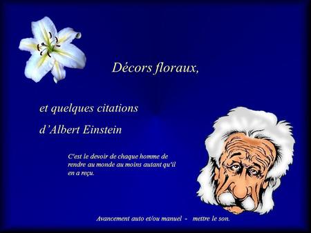 Décors floraux, et quelques citations d’Albert Einstein