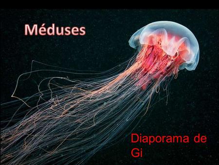 Diaporama de Gi Terrifiantes pour certains, fascinantes pour d’autres, les méduses font partie de ces incroyables créatures que l’on peut retrouver dans.