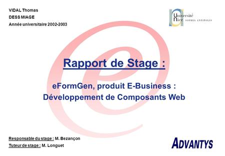 eFormGen, produit E-Business : Développement de Composants Web