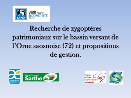 Recherche de zygoptères patrimoniaux sur le bassin versant de l’Orne saosnoise (72) et propositions de gestion.