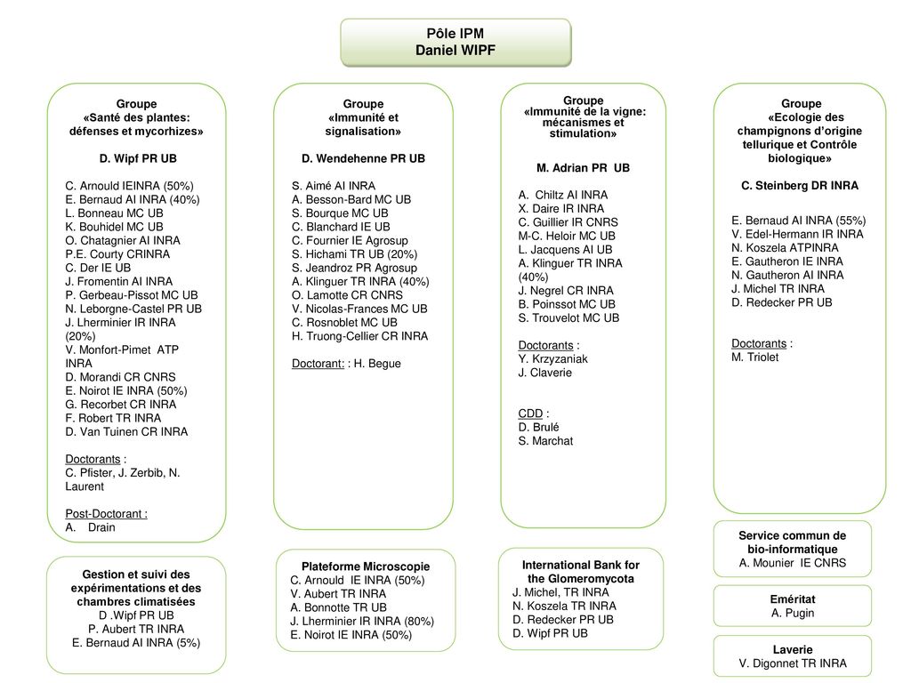Pole Ipm Daniel Wipf Groupe Ppt Telecharger