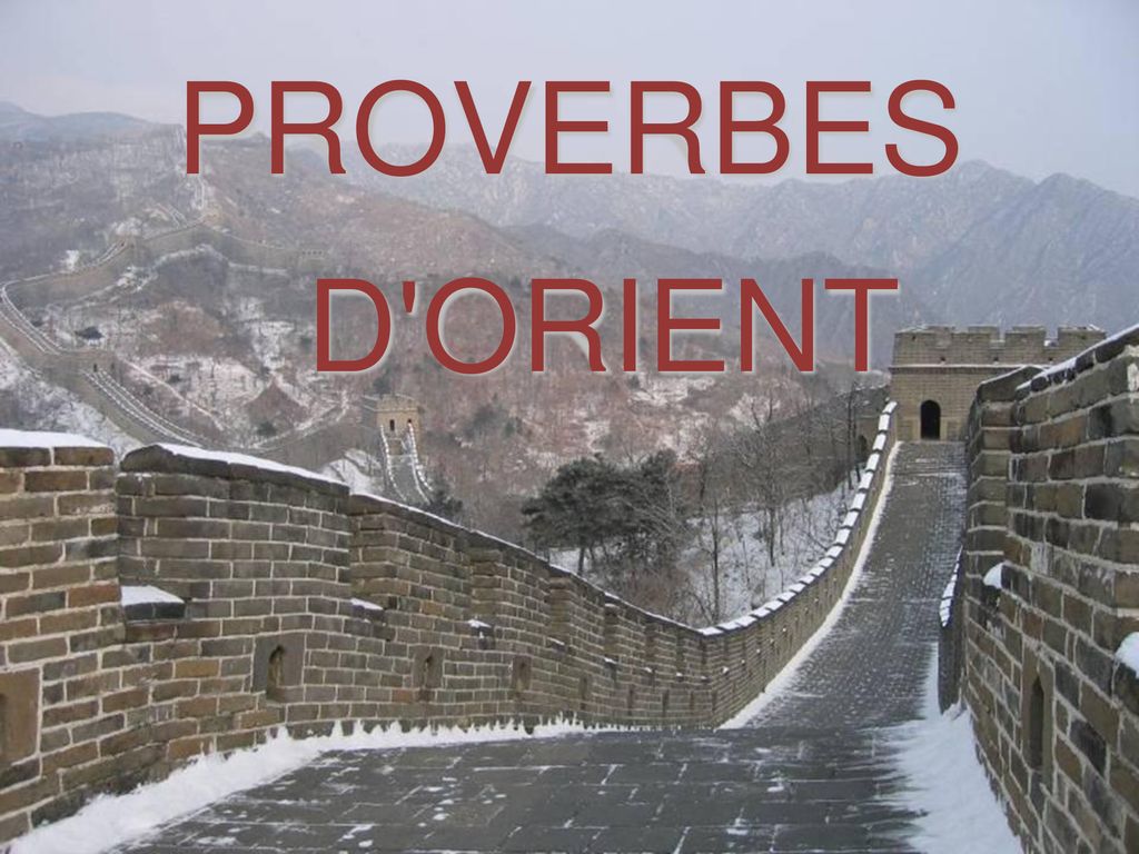 L'expérience est un peigne pour les [] - Proverbes chinois