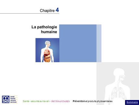 Chapitre 4 La pathologie humaine