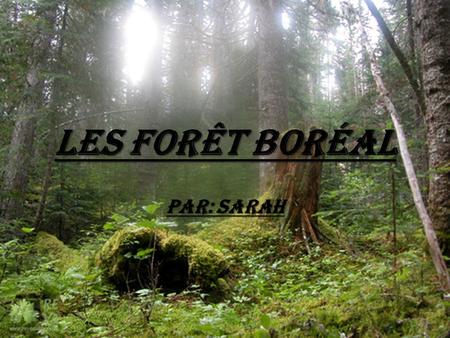 Les Forêt Boréal Par: Sarah.