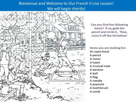 Bienvenue and Welcome to Our French II Live Lesson! We will begin shortly!