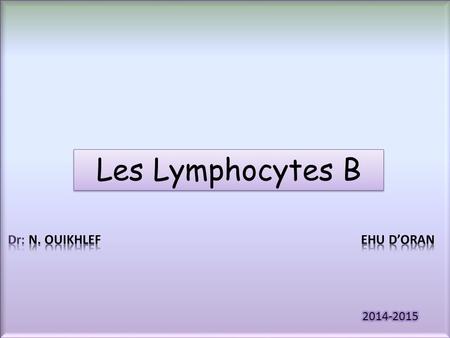 Les Lymphocytes B Dr: N. OUIKHLEF   EHU D’ORAN 2014-2015.