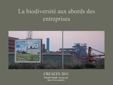 La biodiversité aux abords des entreprises CREALYS 2011 Pascal Colomb - Ecosem sprl