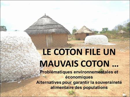 LE COTON FILE UN MAUVAIS COTON …