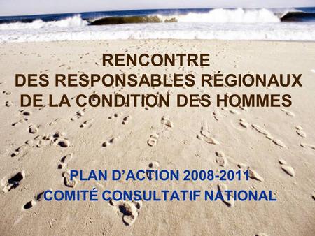 RENCONTRE DES RESPONSABLES RÉGIONAUX DE LA CONDITION DES HOMMES PLAN D’ACTION 2008-2011 COMITÉ CONSULTATIF NATIONAL.