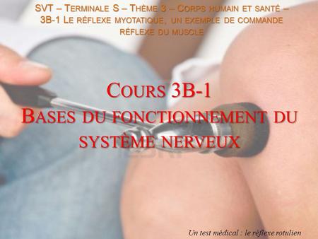 Cours 3B-1 Bases du fonctionnement du système nerveux