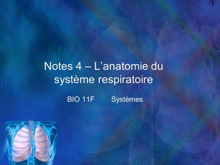 Notes 4 – L’anatomie du système respiratoire