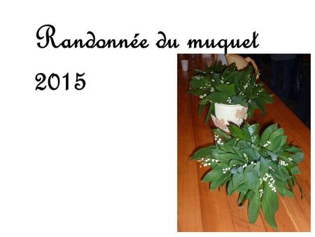 Randonnée du muguet 2015. Les féminines venues pour randonner ensemble.