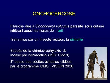 ONCHOCERCOSE Filariose due à Onchocerca volvulus parasite sous cutané
