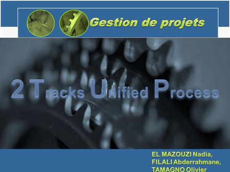 2 Tracks Unified Process
