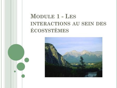 Module 1 - Les interactions au sein des écosystèmes