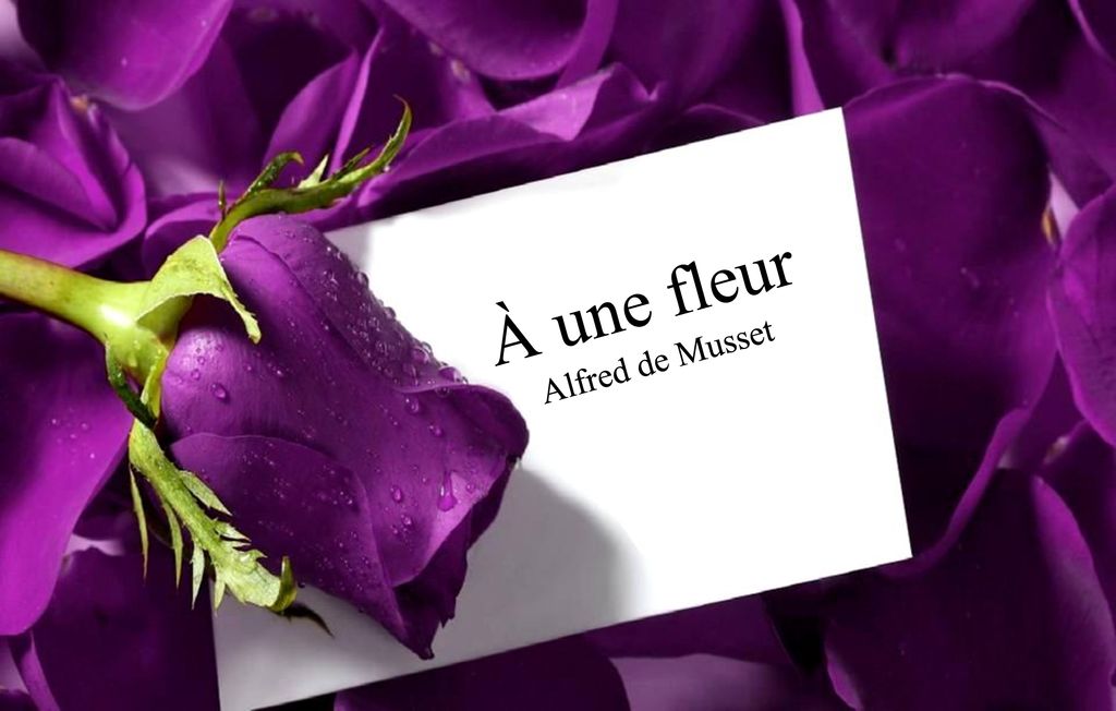 A Une Fleur Alfred De Musset Ppt Telecharger