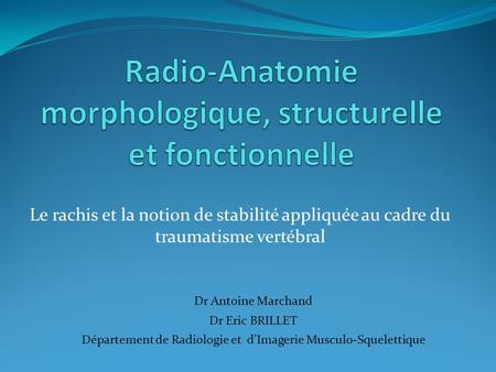 Radio-Anatomie morphologique, structurelle et fonctionnelle