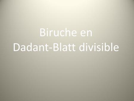 Biruche en Dadant-Blatt divisible