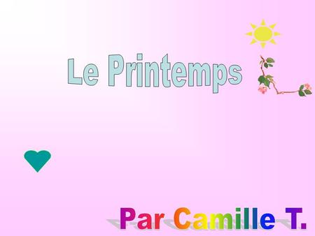 Le Printemps Par Camille T..