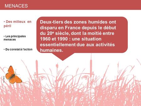 Des milieux en péril Les principales menaces Du constat à l’action Deux-tiers des zones humides ont disparu en France depuis le début du 20 e siècle, dont.