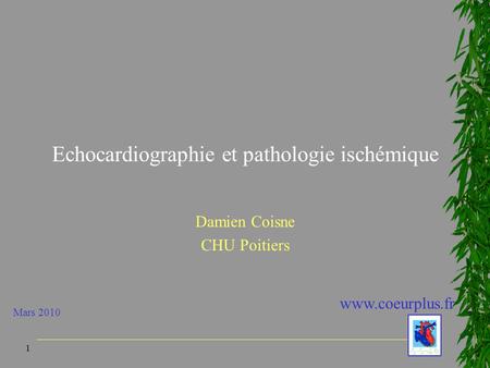 1 Echocardiographie et pathologie ischémique Damien Coisne CHU Poitiers www.coeurplus.fr Mars 2010.