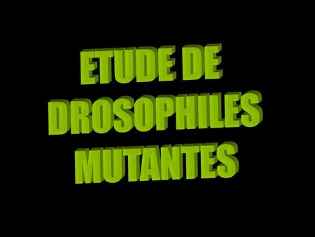 ETUDE DE DROSOPHILES MUTANTES.