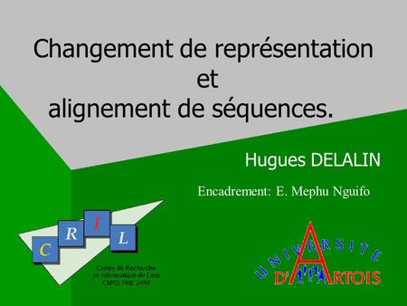 Changement de représentation et alignement de séquences. Hugues DELALIN Encadrement: E. Mephu Nguifo.