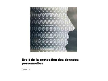 Droit de la protection des données personnelles Drt 6913.
