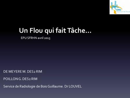 Un Flou qui fait Tâche… DE MEYERE M. DES2 RIM POILLON G. DES2 RIM