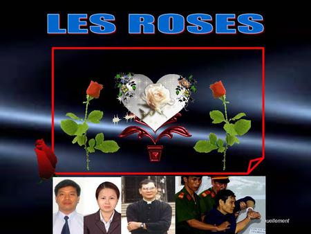 Au clic ou manuellement ONE BEAUTIFUL ROSE SPECIAL FOR FATHER LY.