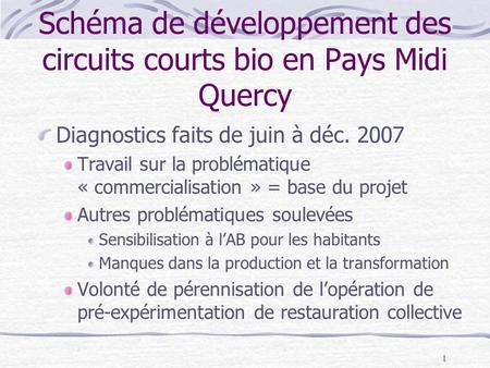 1 Schéma de développement des circuits courts bio en Pays Midi Quercy Diagnostics faits de juin à déc. 2007 Travail sur la problématique « commercialisation.