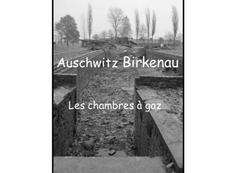 Auschwitz Birkenau Les chambres à gaz.