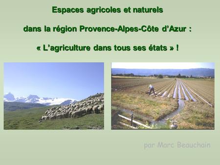 Espaces agricoles et naturels dans la région Provence-Alpes-Côte d’Azur : « L’agriculture dans tous ses états » ! par Marc Beauchain.