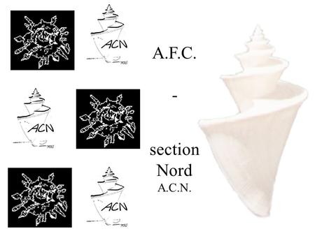 A.F.C. - section Nord A.C.N.. A.F.C. - section Nord Les 21 et 22 octobre 2006 Faches Thumesnil Association Conchyliologique du Nord.
