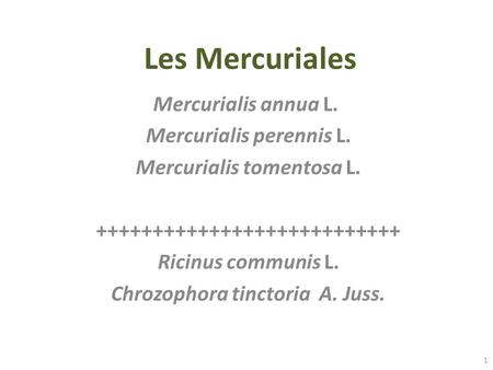 Les Mercuriales Mercurialis annua L. Mercurialis perennis L.