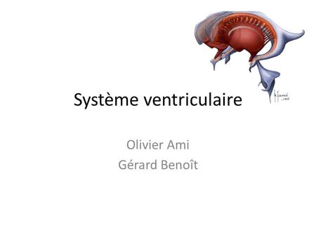 Système ventriculaire