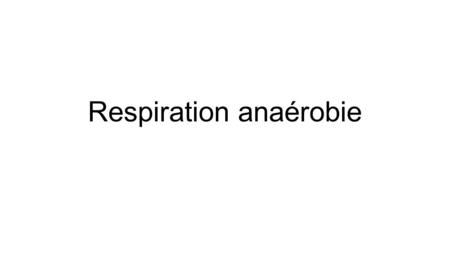 Respiration anaérobie