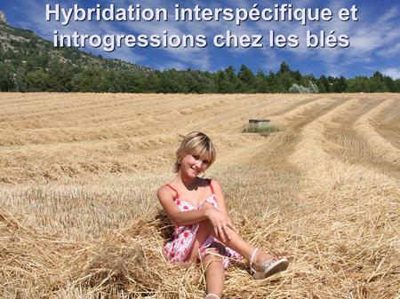 Hybridation interspécifique et introgressions chez les blés