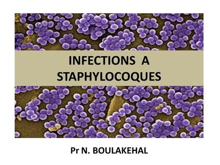INFECTIONS A STAPHYLOCOQUES