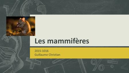 Les mammifères 2015-1016 Guillaume Christian.