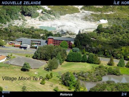 NOUVELLE ZELANDE Gille s 2/4 Village Maori Te Puia Rotorua ÎLE NORD.