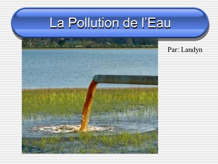 La Pollution de l’Eau Par: Landyn. 2 Types de Pollution 1. Direct 2. Indirect.